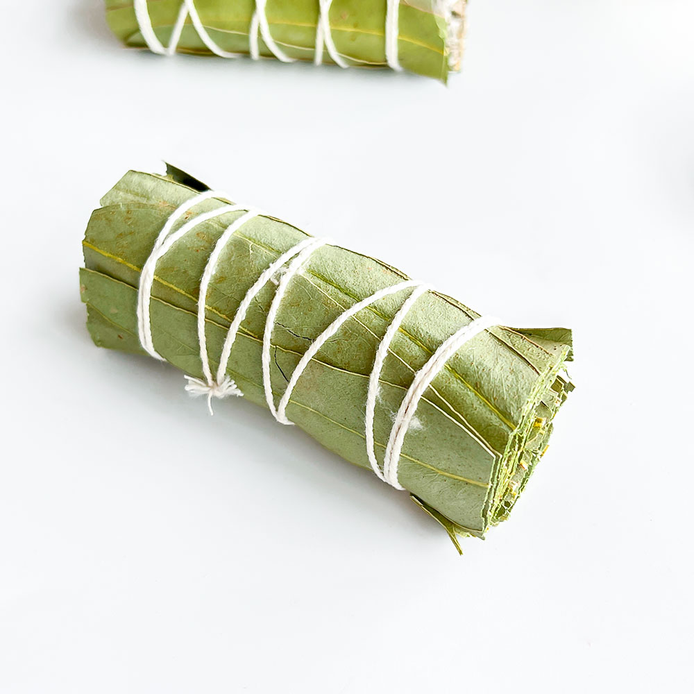 Eucalyptus leaf