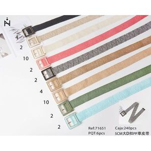 Cintura in tessuto con fibbia a D grande da 5 cm, cintura in paglia PP per donna e uomo, accessorio di moda - Product Image 1