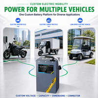 Batterie au lithium LiFePO4 72V 100Ah haute puissance avec BMS intelligent pour moto électrique, scooter, remplacement de batterie au plomb-acide pour véhicules électriques
