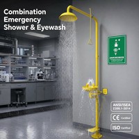 Station de douche de sécurité anti-corrosion en ABS à double sortie pour lavage des yeux d'urgence, idéale pour les usines chimiques, les laboratoires et les usines.