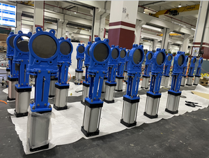 วาล์วประตูแบบมีใบมีดพร้อมกระบอกลมควบคุม - Product Image 1