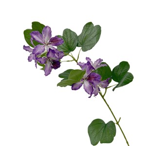 Flores Artificiales de Bauhinia, Rama Individual de Seda, Alta Simulación, Decoraciones para Bodas, Accesorios de Decoración para el Hogar - Product Image 5