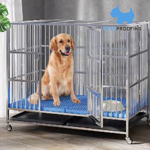 Vente en gros de caisses pour animaux de compagnie multifonctionnelles et amovibles pour grand espace <span class=keywords><strong>Cages</strong></span> pour animaux de compagnie et maison de reptiles pour hamster pour chien et clinique - Product Image 4