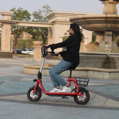 Patinete eléctrico de alta velocidad, 30 KM/H, 2 ruedas, absorción de impacto