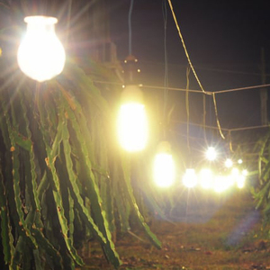 2024 thiết kế mới 10W-50W E27 dẫn phát triển bóng đèn với UV + IR cho hoàn thành nhà máy trong nhà thực vật và ra hoa giai đoạn - Product Image 3