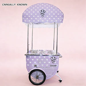 Carrito de helados comercial con ruedas de fibra de vidrio para festivales callejeros, parques, playa, negocios y emprendimientos. - Product Image 5