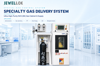Système de distribution de gaz à double chambre automatique et étanche pour l'alimentation en gaz spécial dangereux pour l'industrie des semi-conducteurs