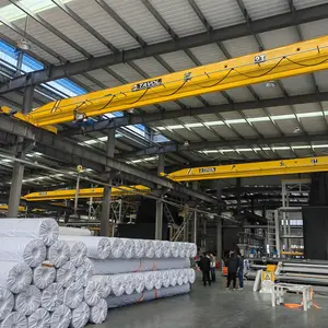 30 ton 25 ton 20 ton 15 ton Single Beam Crane Overhead for Steel Coils Lifting
