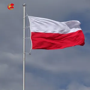 Drapeau de Pologne 3x5 pieds-Couleur vive et résistant à la décoloration Drapeaux de la République de Pologne en polyester avec œillets en laiton