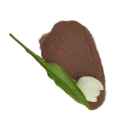 Sable de grenat rouge de haute qualité LM 30/60 Mesh, abrasif de grenat pour le sablage, la découpe au jet d'eau et la préparation des surfaces métalliques