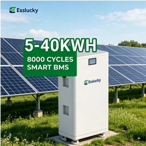 Batterie tout-en-un 48V 100Ah 5kWh avec BMS intégré compatible - Product Image 2