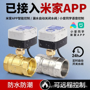 Vanne à boisseau sphérique électrique intelligente Late Memories en laiton 6 8 PPR25 normalement fermée AC220V étanche pour l'arrosage du bétail - Product Image 3