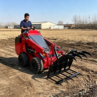 Grappin hydraulique personnalisé pour mini-chargeuse compacte, idéal pour la manutention de racines, de bûches, de broussailles, d'herbe et de débris.