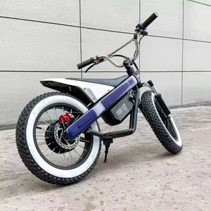 新しい电気オフロード车、レトロ电気自転车、子供のためのEbike、オフロードのための速い电気自転车、若者のオートバイ - Product Image 5