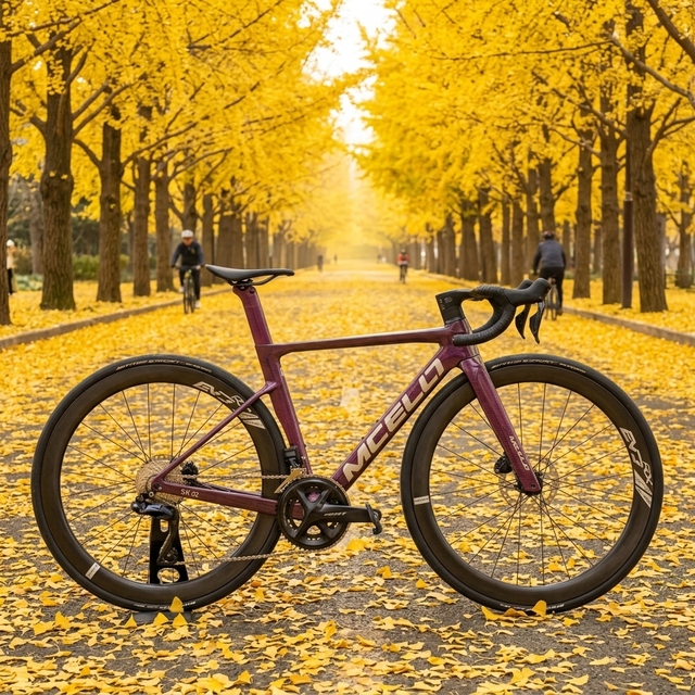 MCELO T800 Carbon Fibre Road Bike 105 Di2 24 Speed Full Carbon Wheelset Hydraulic Disc Brake Lightweight 7.6kg Aero Internal