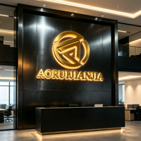 Lettres LED rétroéclairées personnalisées pour bureau, intérieur/extérieur, signalétique d'entreprise, logo mural, lettres en relief 3D LED
