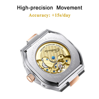 Montre mécanique automatique pour homme Caluola Skeleton de haute qualité, cristal saphir, étanche 5ATM, acier inoxydable, ODM/OEM