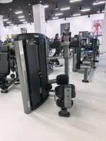 Machine de rotation du tronc ROSEN Fitness pour l'entraînement du tronc en salle de sport commerciale