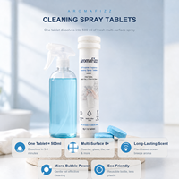 Aromafizz Comprimés de nettoyage solides multi-usages écologiques jetables à marque privée personnalisée avec parfum longue durée