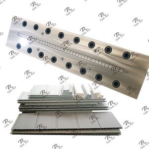 Matriz de Extrusión para Cobertizos de Tablero Hueco, para Máquina de Extrusión de Muebles de PP, Origen TianRui Mould - Product Image 4