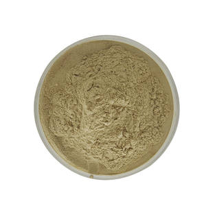 100% ナチュラル & 高品質ホップ花エキスXanthohumol 5% - Product Image 2