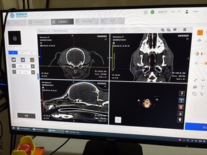 Appareil d'imagerie CT vétérinaire, <span class=keywords><strong>scanner</strong></span> CT pour animaux de compagnie, CT multifonction pour animaux, un seul système pour répondre à tous les besoins d'imagerie radiologique, économie de coûts et d'espace - Product Image 2