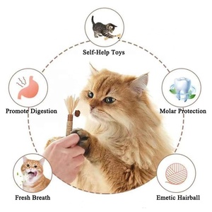 Gatto giocattolo da masticare bastoncini per gatti - Product Image 4