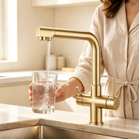 Robinet de cuisine moderne 3-en-1 en or brossé avec filtre, mitigeur double poignée pour évier