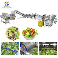 Automatische fruit- en groentesalade productielijn met snij-, was-, ontwaterings- en verwerkingsfunctie