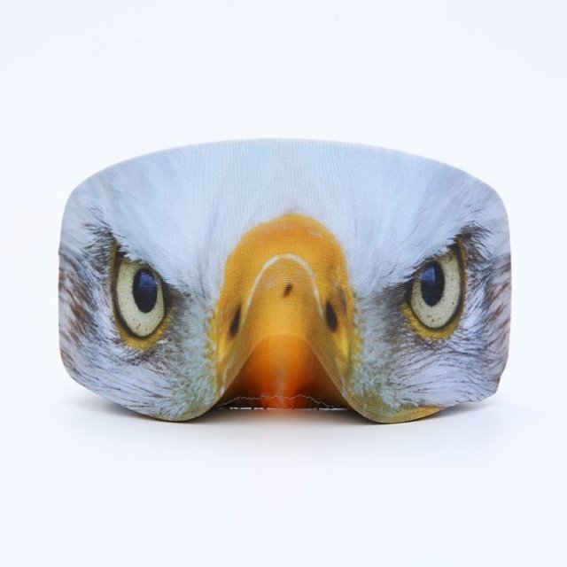 Eagle eye-f4d