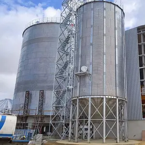 China Fabricação 6000ton Aço Galvanizado Silo De Armazenamento De Grãos De Trigo Paddy Rice Cereal