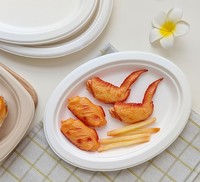 Plat de service jetable durable de qualité supérieure 10 x 8 pouces, ovale, pour les fêtes, les dîners, les barbecues en plein air, les buffets, les réunions festives