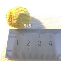 KAIYANGE Approvisionnement d'usine Vente en gros Boule à thé fleurie Chrysanthème Menthe Parfum Odeur OEM Fleur personnalisable Boule à thé dragon