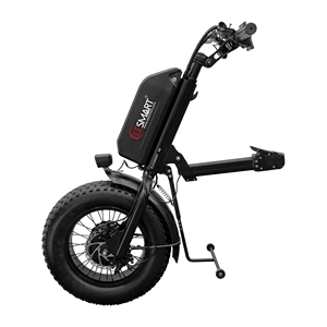 Accesorio para Silla de Ruedas y Scooters para Discapacitados con Neumático de 16 Pulgadas, Motor de 48V 1000W, Batería de Litio de 20A, Velocidad de 40KM/H y Autonomía de 80/100KM - Product Image 1