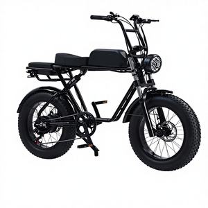 Tricycle électrique de fret 600W, vitesse unique, double rangée de sièges, scooter à 3 roues certifié, personnes âgées, type de carrosserie ouverte, 30-50 km/h - Product Image 1