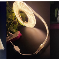 Kits pour bandes led avec prise secteur et contrôleur, kit d'alimentation de commutation et de haute tension 220V, bms