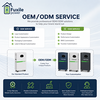 Batterie domestique LiFePO4 de 5,12 kWh, 51,2 V 100 Ah, solution de stockage d'énergie solaire pour l'alimentation de secours résidentielle
