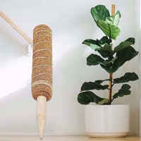 Poteau de soutien pour plantes en fibre de coco 100% naturelle, écologique, rétient l'humidité, pour fleurs et plantes vertes