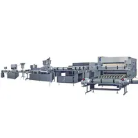 Máquina automática de fabricación de botellas de vidrio, máquina de fabricación de botellas de vidrio, estándar cGMP