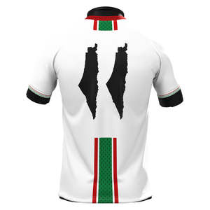 Maillot de football personnalisé 2024 de haute qualité avec logo, nom et numéro imprimés par transfert thermique, 100% polyester, Palestine National Club - Product Image 2