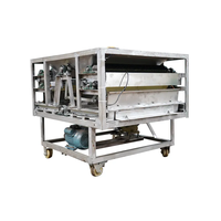 Machine à casser les noix de pécan en acier inoxydable 201 à couche unique, capacité 500 kg/h, réglable