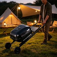 Mini chariot de camping avec barbecue, petit fumoir à charbon de bois et granulés de bois, barbecue portable pliable fait maison pour l'extérieur