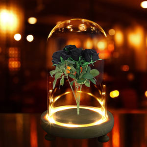 เครื่องประดับดอกกุหลาบที่เก็บรักษาไว้พร้อมฝาครอบโดมดอกไม้ไฟ LED สำหรับวันวาเลนไทน์คริสต์มาสงานแต่งงานดอกกุหลาบ<span class=keywords><strong>อมตะ</strong></span>จริง - Product Image 5