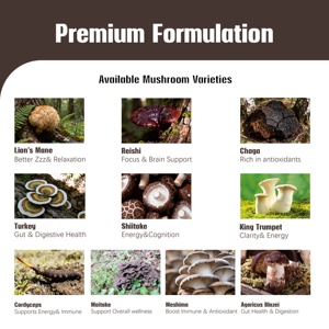 Caffè Istantaneo Biologico ai Funghi con Etichetta Privata OEM, Polvere di <span class=keywords><strong>Cordyceps</strong></span>, Turkey Tail, Reishi e Lion's Mane - Product Image 3