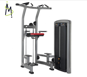 Barre de traction réglable série SM LF, tour de musculation, stations de dips, équipement de musculation multifonctionnel pour salle de sport commerciale - Product Image 1