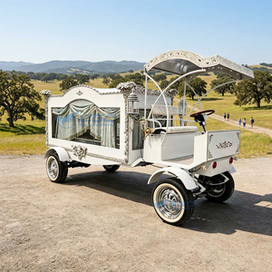 Voiture funéraire vintage électrique/à chevaux, cercueil mobile de luxe, voiture funéraire classique vintage électrique à vendre - Product Image 1