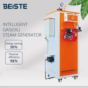 2022 Jaar Beiste Q(Y) 50Kg Ketel 80Kg 100Kg 200Kg Kleinere Gas Stoomgenerator Ketels Voor Verkopen