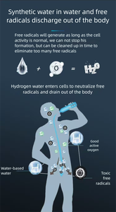 Générateur de cellules SPE fabriqué en Chine |   Pièces détachées en gros pour électrolyseur à gaz, technologie d'eau ionisée B2B - Product Image 4