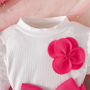 Nuovo Set Vestito da Principessa per Bambine 2025, Top a Maniche Lunghe con Fiori Tridimensionali e <span class=keywords><strong>Gonna</strong></span> con Fiocco Tridimensionale in Lana Pettinata - Product Image 4