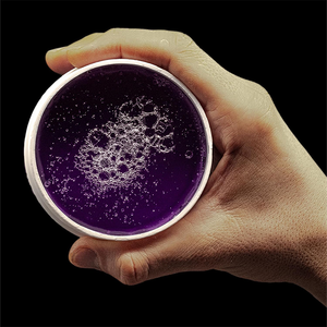 <strong>Hair</strong> Styling Wax Violetta 150ml Strong Hold &amp; Maximum Control Ultra Hold <strong>Gel</strong> Wax for <strong>Men</strong> &amp; Women - Product Image 6